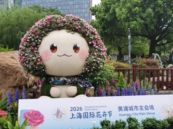 探营上海国际花卉节主会场，未开先热的原因找到了