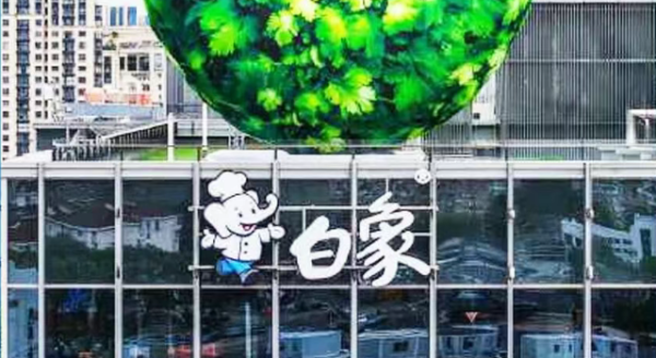 白象跨界饮品，国民品牌的二次创业与渠道突围