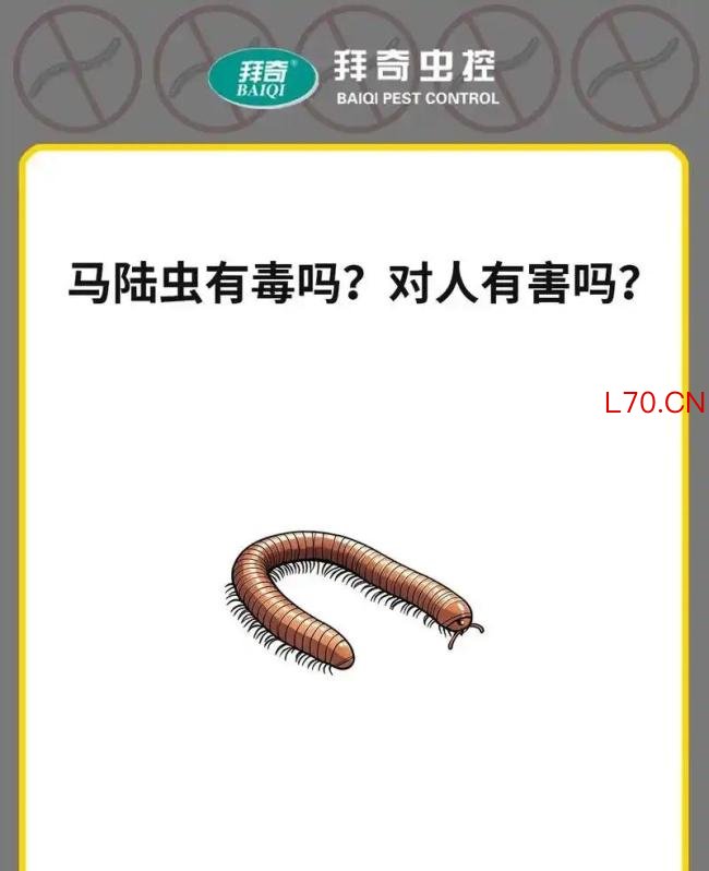 公园树下“千足虫”横行 专家科普 城市人对自然的陌生感