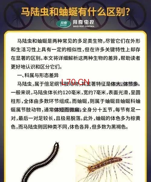 公园树下“千足虫”横行 专家科普 城市人对自然的陌生感