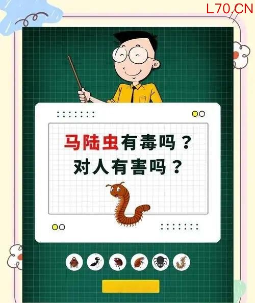 公园树下“千足虫”横行 专家科普 城市人对自然的陌生感