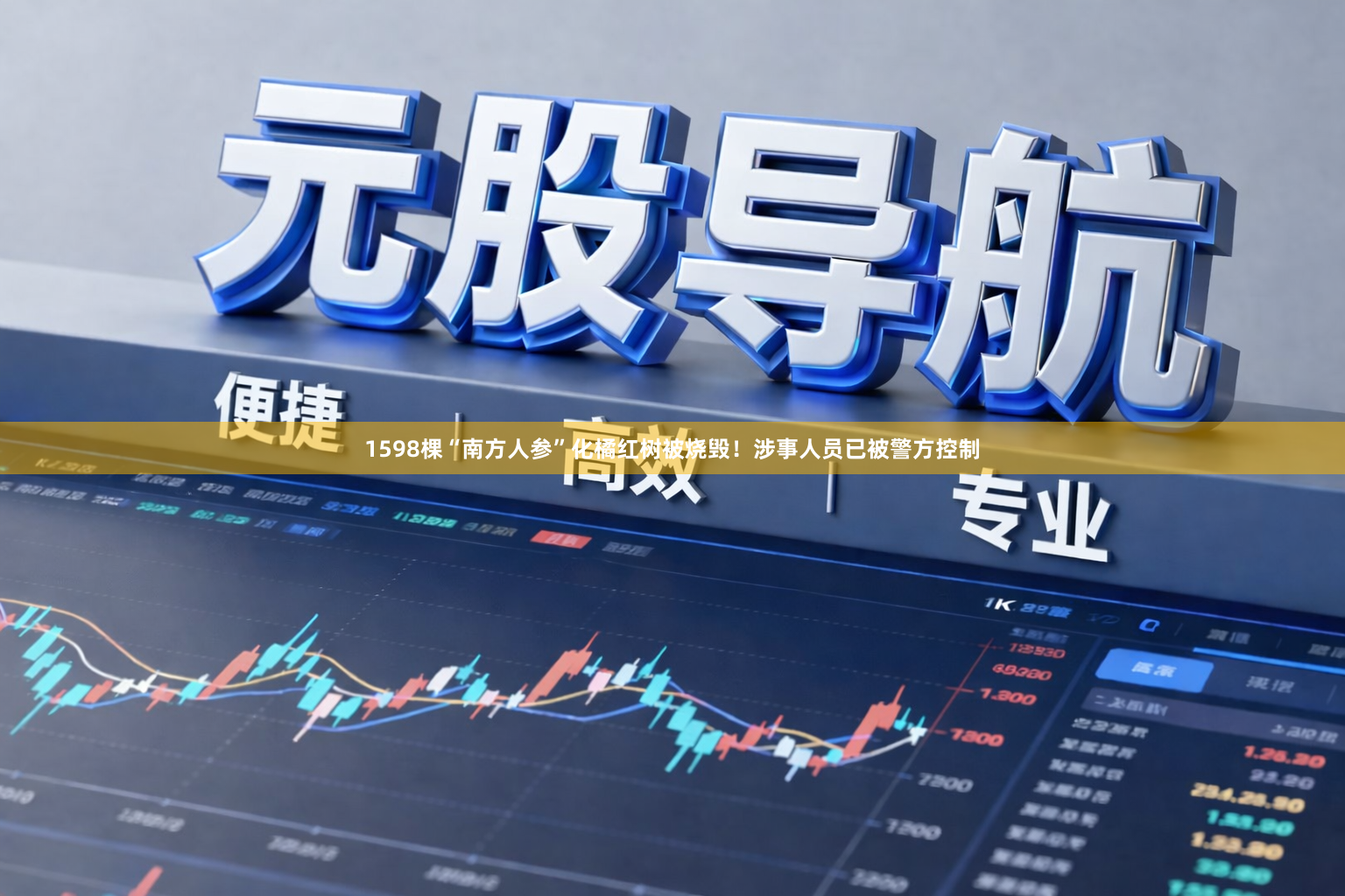 1598棵“南方人参”化橘红树被烧毁！涉事人员已被警方控制