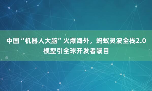 中国“机器人大脑”火爆海外，蚂蚁灵波全栈2.0模型引全球开发者瞩目