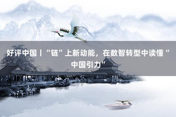 好评中国丨“链”上新动能，在数智转型中读懂“中国引力”