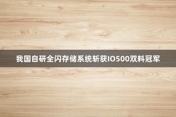 我国自研全闪存储系统斩获IO500双料冠军