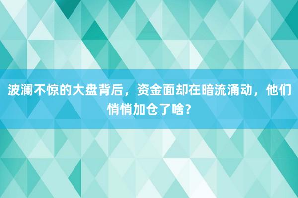 波澜不惊的大盘背后，资金面却在暗流涌动，他们悄悄加仓了啥？