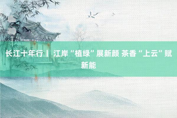 长江十年行丨 江岸“植绿”展新颜 茶香“上云”赋新能