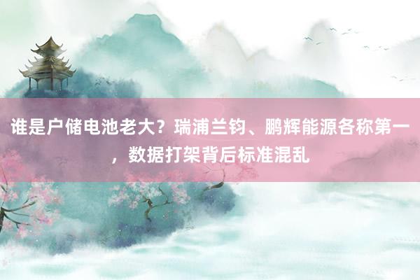 谁是户储电池老大？瑞浦兰钧、鹏辉能源各称第一，数据打架背后标准混乱