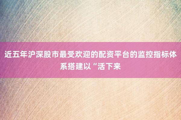 近五年沪深股市最受欢迎的配资平台的监控指标体系搭建以“活下来