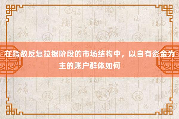 在指数反复拉锯阶段的市场结构中，以自有资金为主的账户群体如何