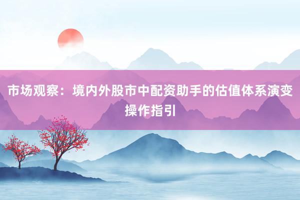 市场观察：境内外股市中配资助手的估值体系演变操作指引