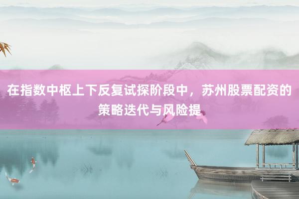 在指数中枢上下反复试探阶段中，苏州股票配资的策略迭代与风险提
