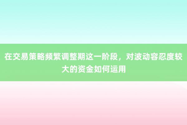 在交易策略频繁调整期这一阶段，对波动容忍度较大的资金如何运用