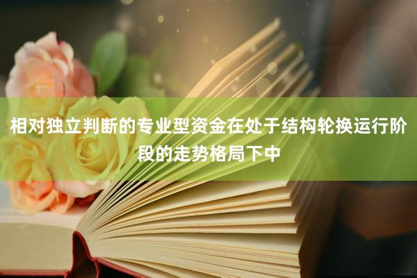 相对独立判断的专业型资金在处于结构轮换运行阶段的走势格局下中