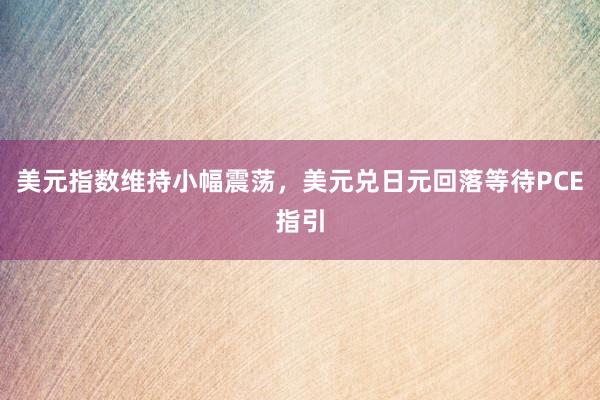 美元指数维持小幅震荡，美元兑日元回落等待PCE指引