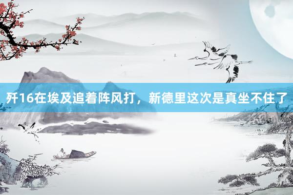 歼16在埃及追着阵风打，新德里这次是真坐不住了