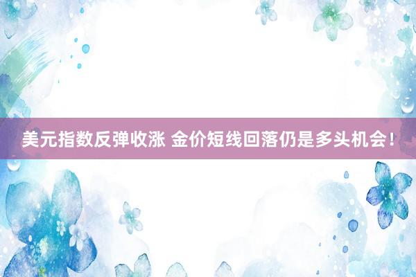 美元指数反弹收涨 金价短线回落仍是多头机会！