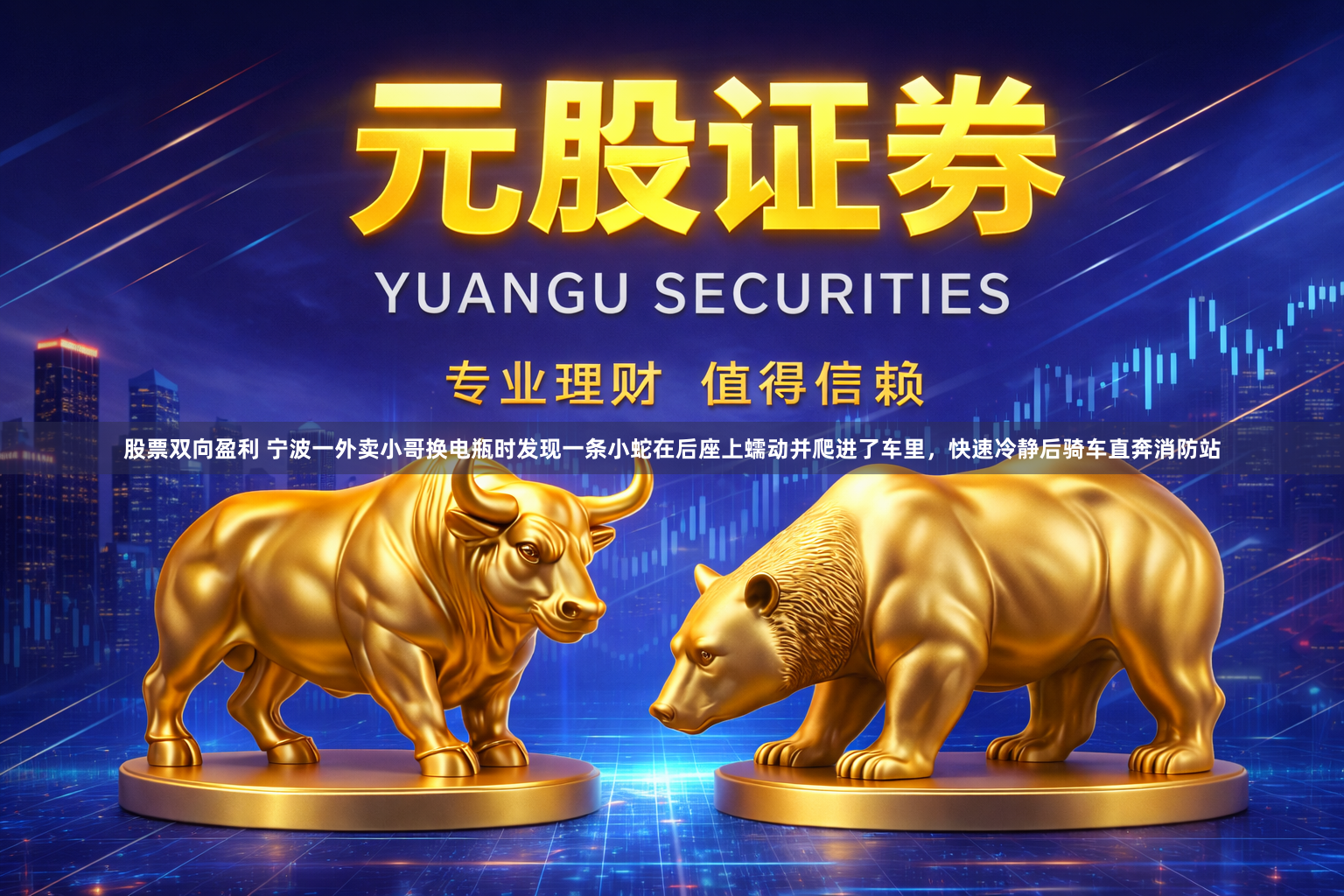 股票双向盈利 宁波一外卖小哥换电瓶时发现一条小蛇在后座上蠕动并爬进了车里，快速冷静后骑车直奔消防站
