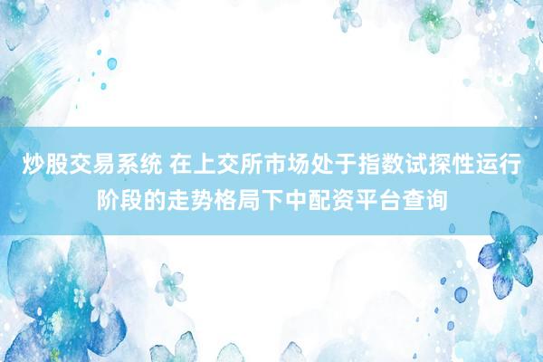 炒股交易系统 在上交所市场处于指数试探性运行阶段的走势格局下中配资平台查询