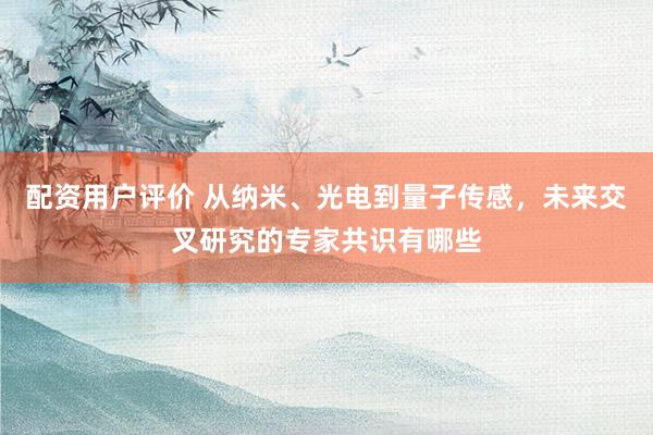 配资用户评价 从纳米、光电到量子传感,未来交叉研究的专家共识有哪些