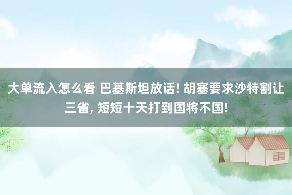 大单流入怎么看 巴基斯坦放话! 胡塞要求沙特割让三省, 短短十天打到国将不国!