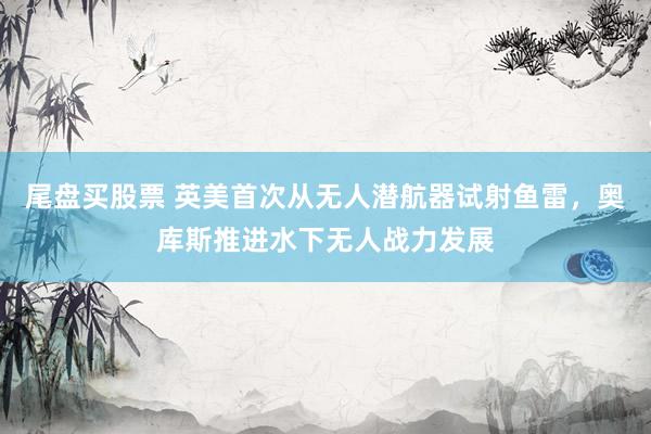 尾盘买股票 英美首次从无人潜航器试射鱼雷，奥库斯推进水下无人战力发展