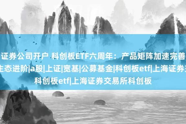 证券公司开户 科创板ETF六周年：产品矩阵加速完善 硬科技投资生态进阶|a股|上证|宽基|公募基金|科创板etf|上海证券交易所科创板