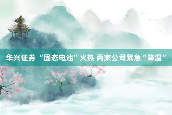 华兴证券 “固态电池”火热 两家公司紧急“降温”